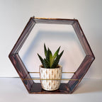 Hex Planter Tortoise Shell
