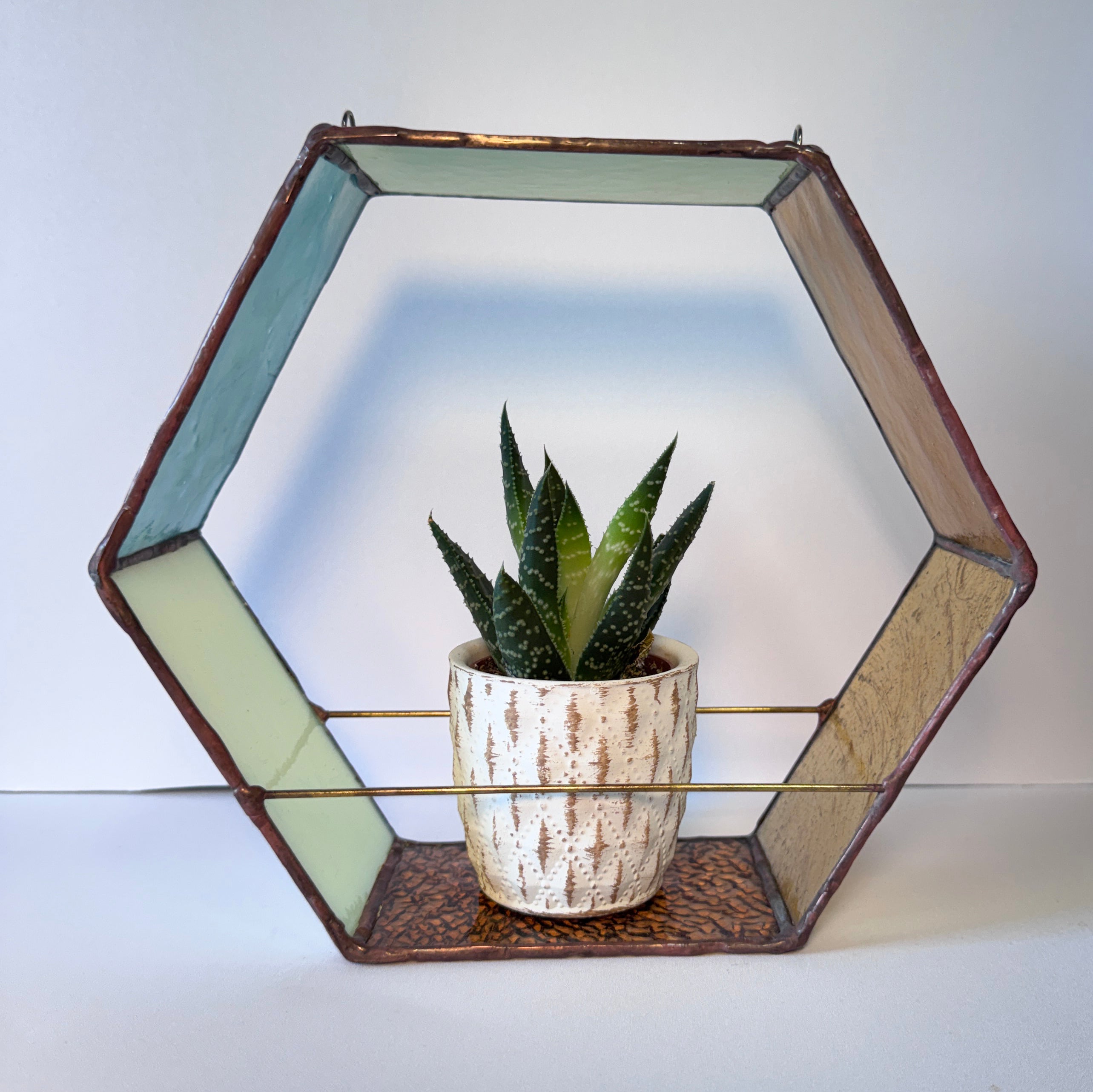 Hex Planter Multi