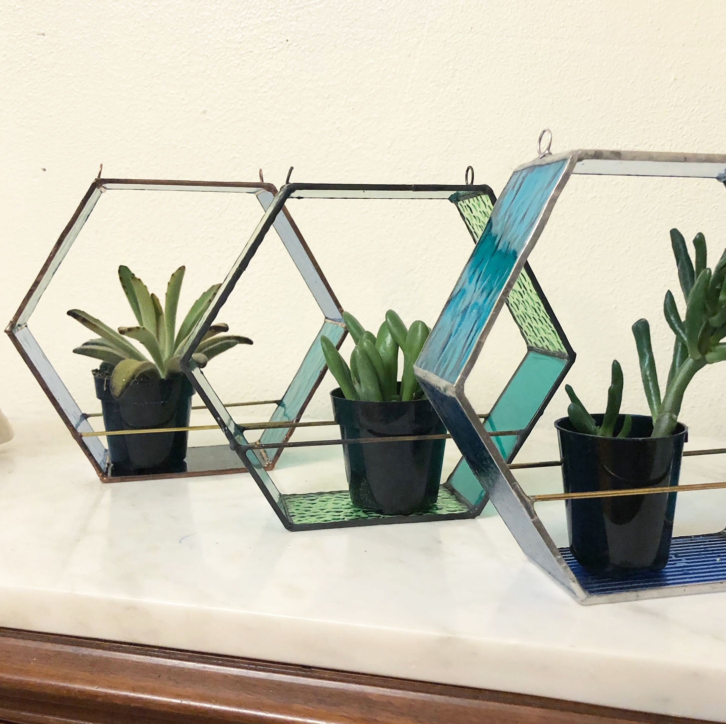 Hex Planter Tortoise Shell